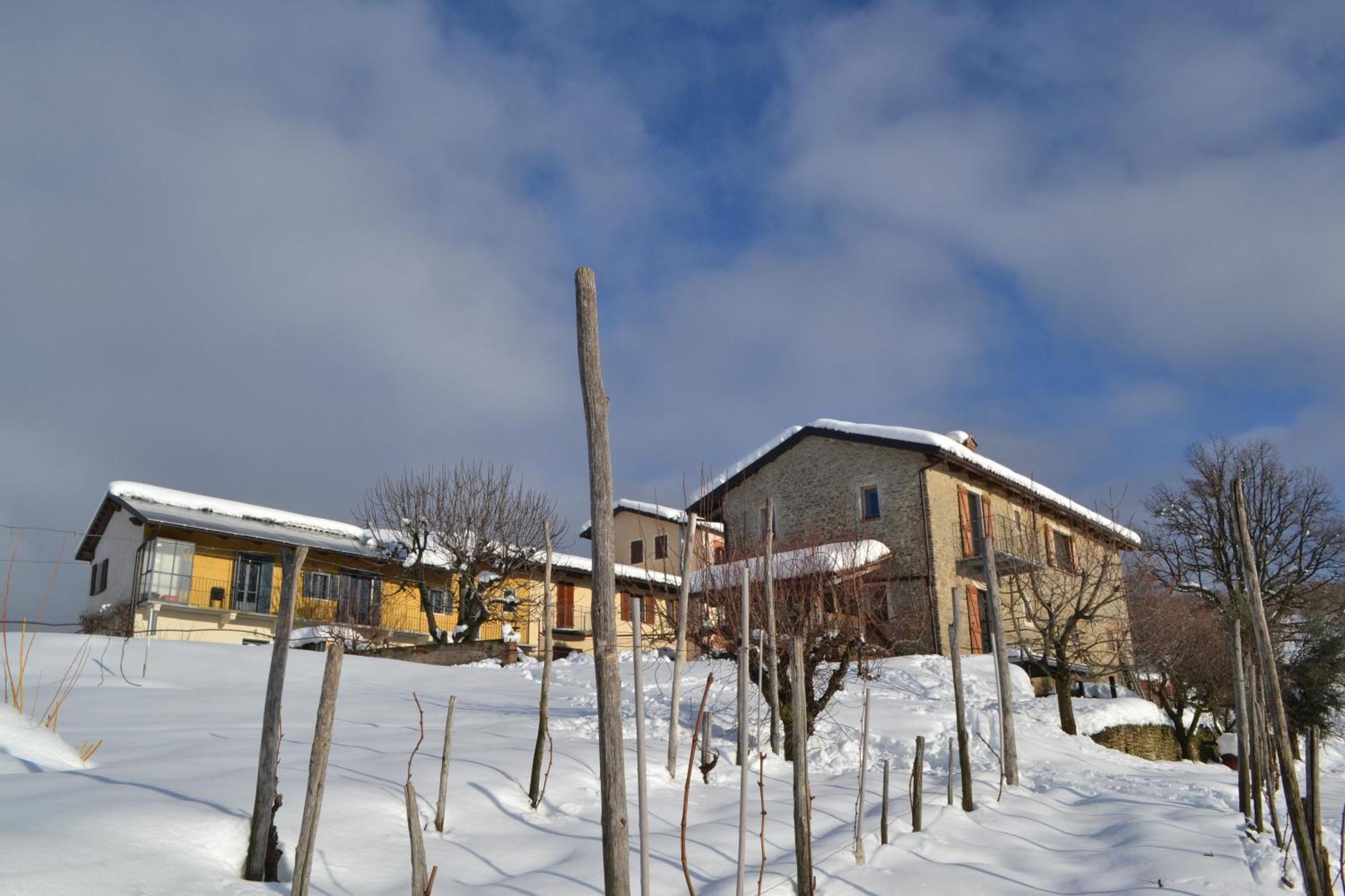Ferienwohnung Cascina Nomade - Wine & Scenic Retreat Dogliani Exterior foto